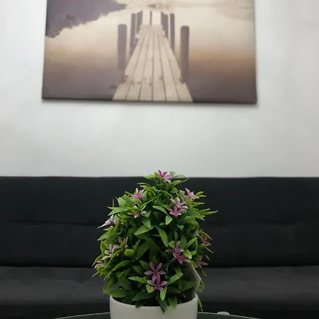 Apartment Rua Maior *